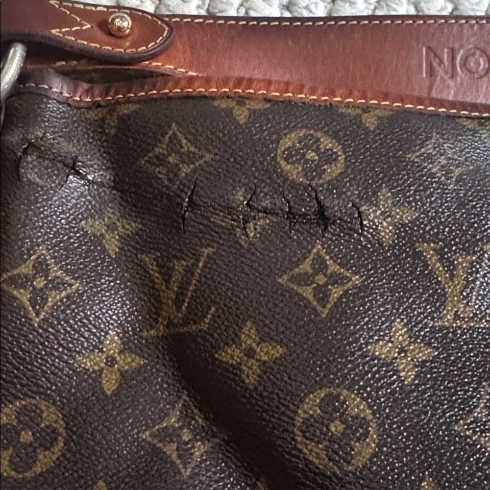 Louis Vuitton Graceful MM *PROJECT BAG* - Picture 11 of 13